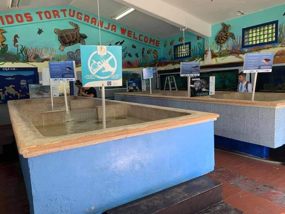 La reapertura de la Tortugranja, un atractivo turístico, no se concretó La reapertura de la Tortugranja, un atractivo turístico, no se concretó