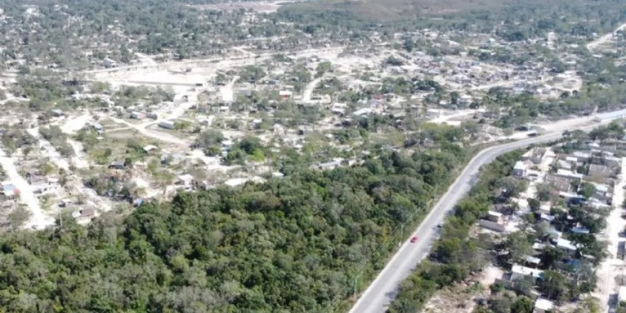 La vegetación de la ciudad ha sido devastada para la creación de nuevos desarrollos habitacionales La vegetación de la ciudad ha sido devastada para la creación de nuevos desarrollos habitacionales