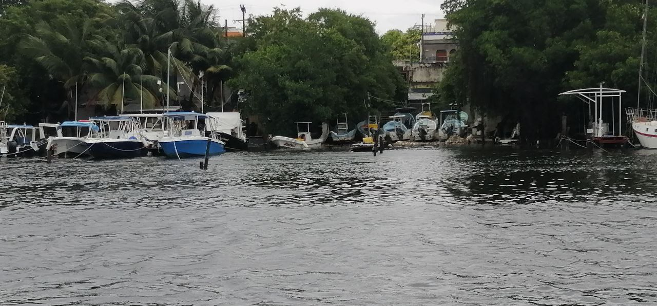 Tampoco se promovieron acciones para la protección de los recursos naturales de la isla Tampoco se promovieron acciones para la protección de los recursos naturales de la isla