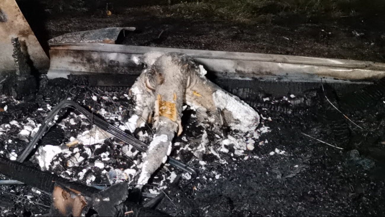 Encontraron un cuerpo calcinado boca abajo, causando gran susto / Por Esto! Encontraron un cuerpo calcinado boca abajo, causando gran susto / Por Esto!
