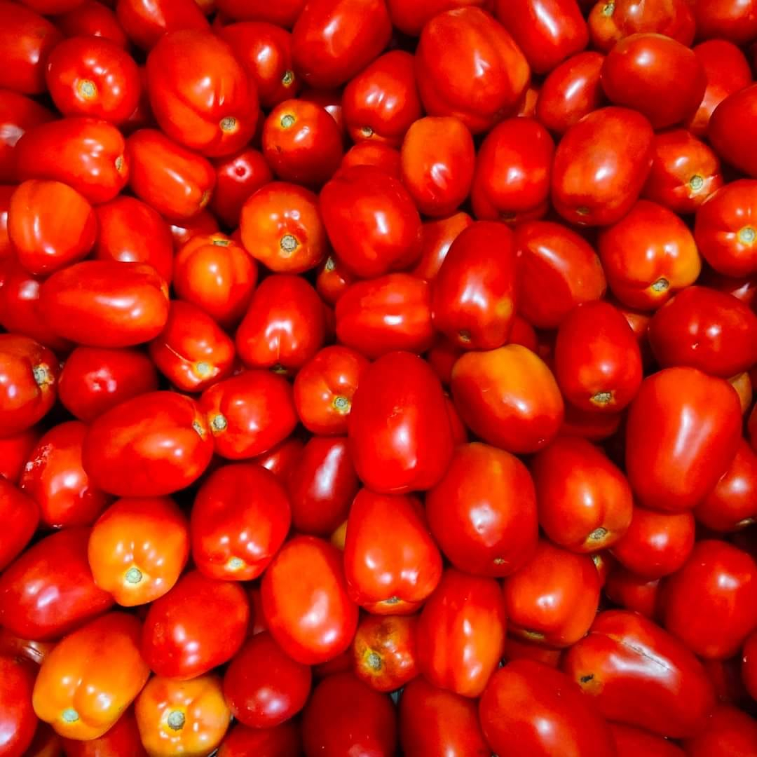 Algunos comerciantes afirmaron que el valor del tomate ha pasado de 20 a 40 pesos y el epazote ha subido casi el 100% de su valor Algunos comerciantes afirmaron que el valor del tomate ha pasado de 20 a 40 pesos y el epazote ha subido casi el 100% de su valor