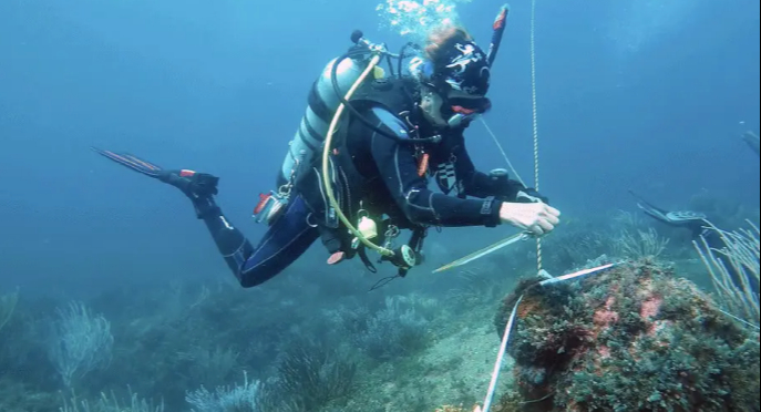  En Campeche, hallan vestigios mayas subacuáticos cerca  de cenotes   
