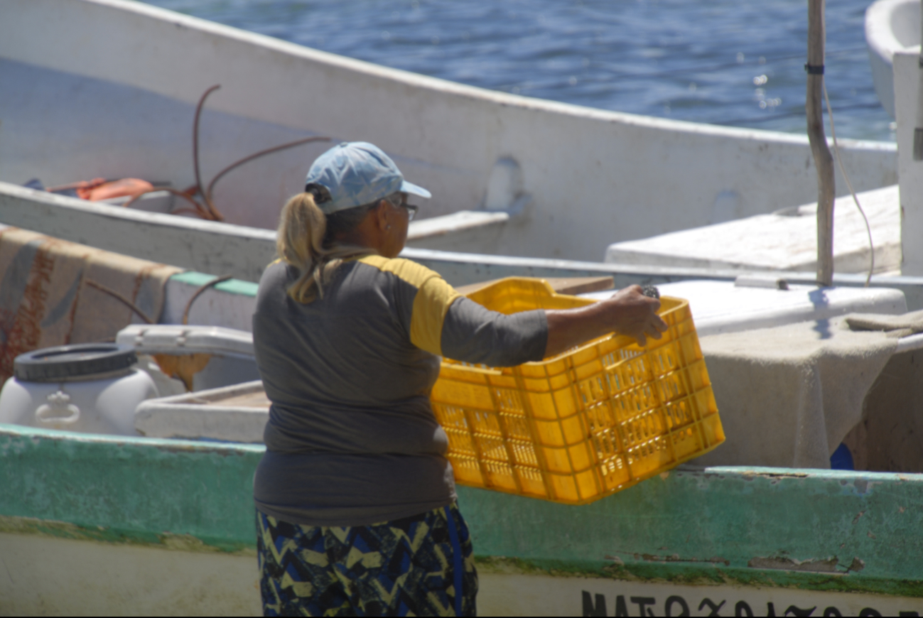 Integrantes de la Unión de Pescadores esperan la promesa de un espacio nuevo Integrantes de la Unión de Pescadores esperan la promesa de un espacio nuevo