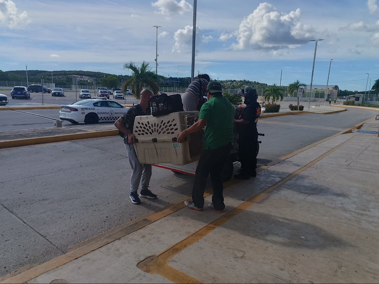 La llegada de los "amigos de cuatro patas" generó empatía y ayuda de los presentes en el aeropuerto La llegada de los "amigos de cuatro patas" generó empatía y ayuda de los presentes en el aeropuerto