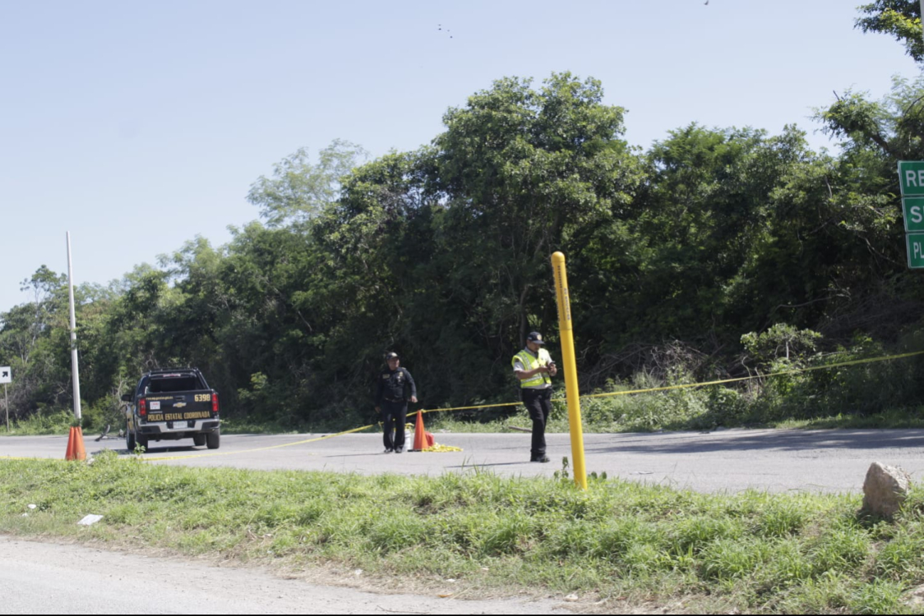 La víctima perdió la vida tras ser atropellado por un conductor La víctima perdió la vida tras ser atropellado por un conductor