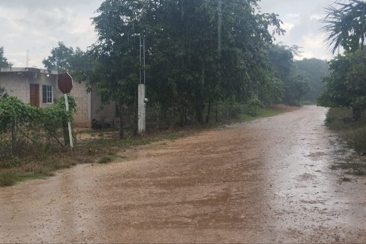 Quintana Roo se encuentra en Alerta Azul: ¿Qué significa?