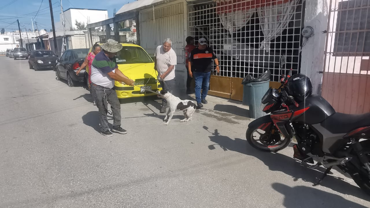 Bienestar Animal se llevó al perro para tranquilizarlo Bienestar Animal se llevó al perro para tranquilizarlo