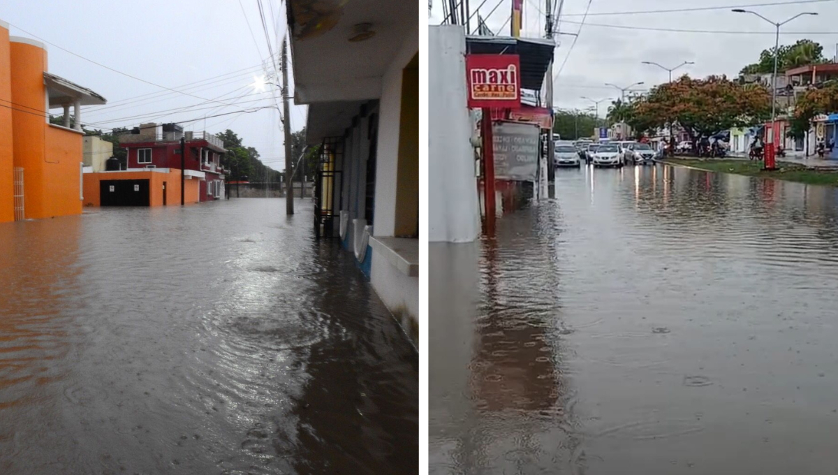 Flor de Limón y Concordia Flor de Limón y Concordia