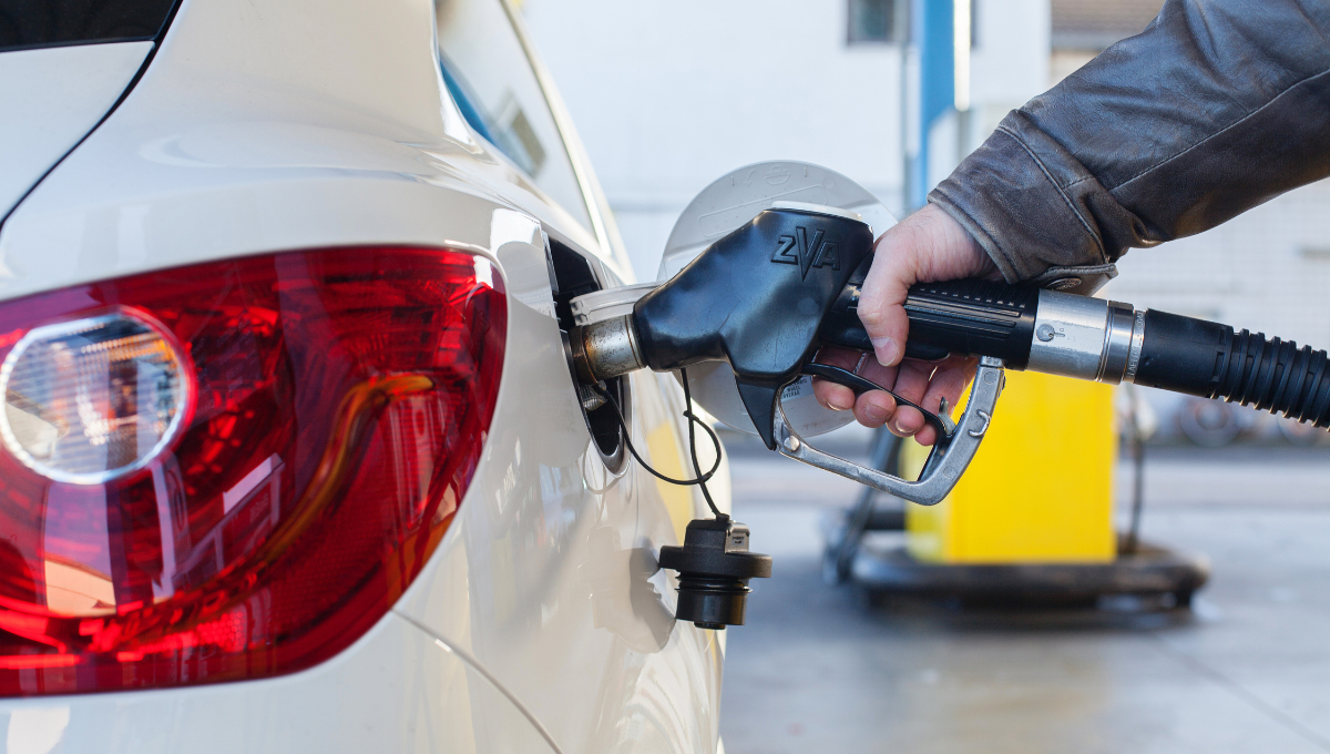 Es importante llevar suficiente combustible y provisiones, y conocer los horarios de acceso a la Reserva de la Biosfera de Calakmul Es importante llevar suficiente combustible y provisiones, y conocer los horarios de acceso a la Reserva de la Biosfera de Calakmul