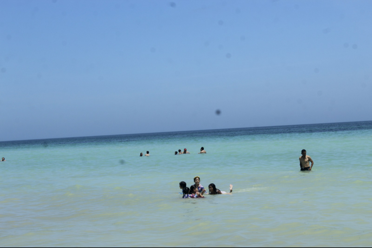 Son seguras para los bañistas debido a su conservación Son seguras para los bañistas debido a su conservación