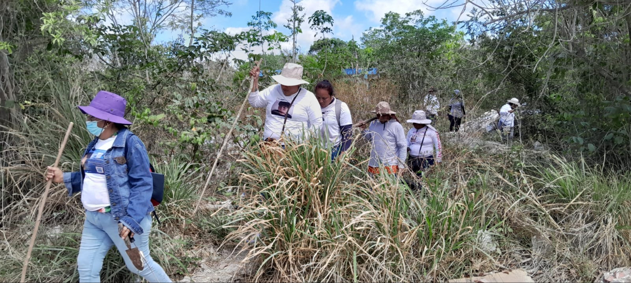 Colectivos de búsqueda realizan labores para encontrar a los desaparecidos Colectivos de búsqueda realizan labores para encontrar a los desaparecidos