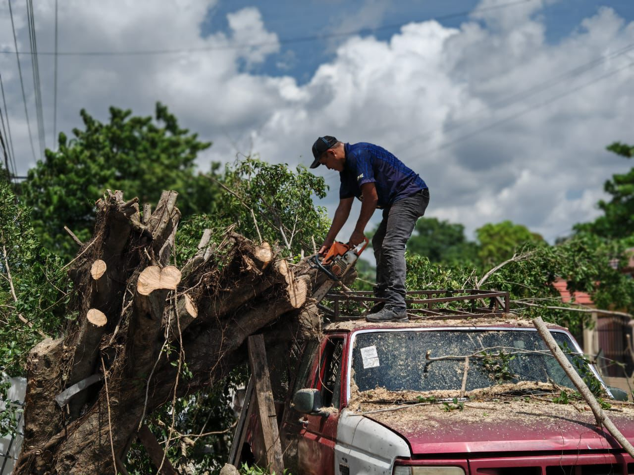 Personal de Protección Civil Municipal acudió al lugar, cortó las ramas y liberó la camioneta Personal de Protección Civil Municipal acudió al lugar, cortó las ramas y liberó la camioneta