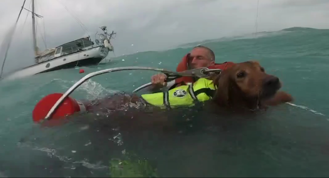 Elementos costeros realizaron la operación de rescate de un hombre y un perro atrapados en medio del huracán Helene. Elementos costeros realizaron la operación de rescate de un hombre y un perro atrapados en medio del huracán Helene.