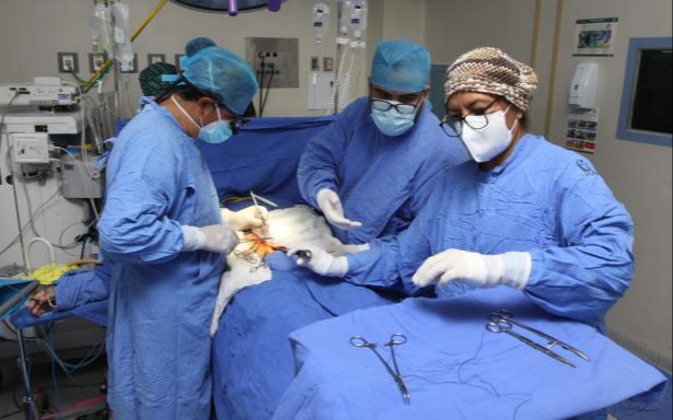 Los órganos con más lista de espera son el riñón, cornea e hígado Los órganos con más lista de espera son el riñón, cornea e hígado