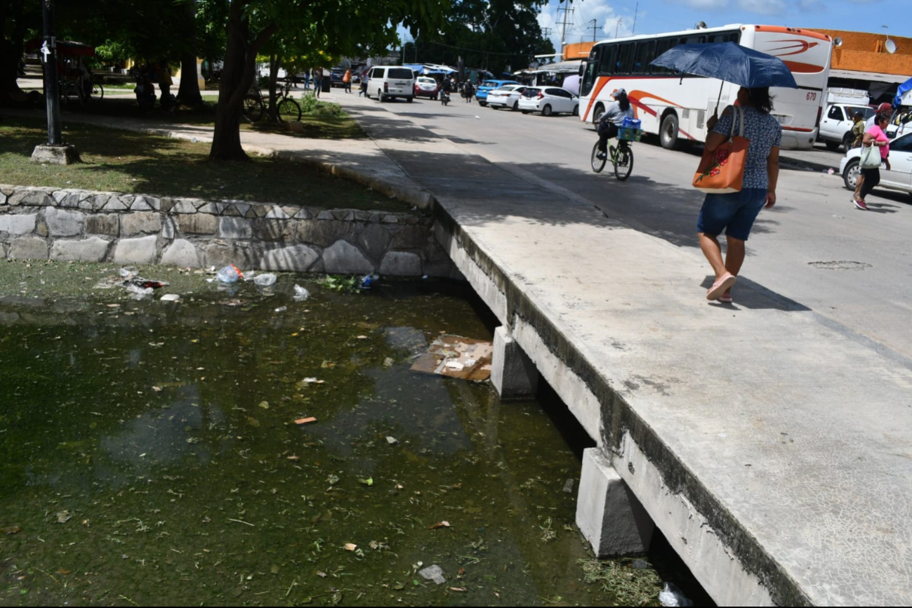 Se han acumulado 582 casos de dengue en todo el estado, cinco más que la semana pasada Se han acumulado 582 casos de dengue en todo el estado, cinco más que la semana pasada