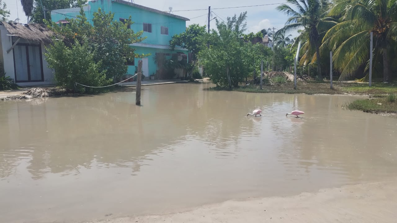 Familias de Holbox sufren estragos tras el paso del huracán “Helene” Familias de Holbox sufren estragos tras el paso del huracán “Helene”