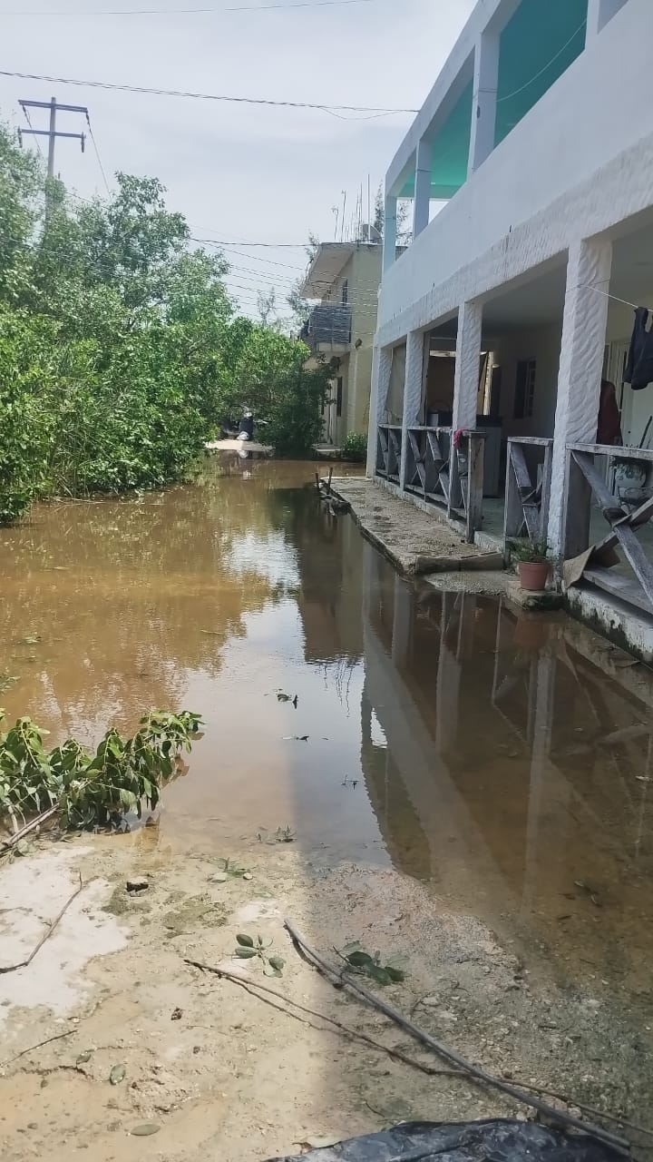 Las aguas llegaron hasta los patios de vecinos Las aguas llegaron hasta los patios de vecinos