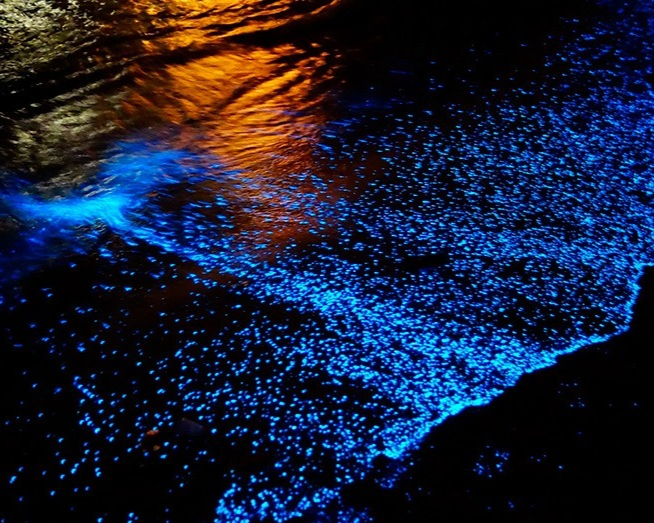Durante la noche las playas se iluminan Durante la noche las playas se iluminan