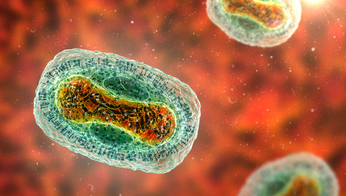 La OMS declaró el aumento de casos de mpox en África como una emergencia de salud pública internacional. La OMS declaró el aumento de casos de mpox en África como una emergencia de salud pública internacional.
