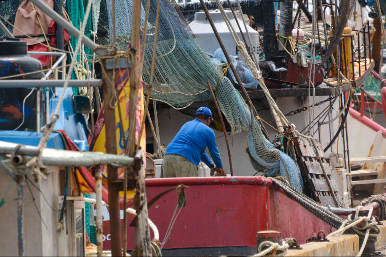 Debido a la temporada baja, los pescadores deben de bajar sus precios Debido a la temporada baja, los pescadores deben de bajar sus precios