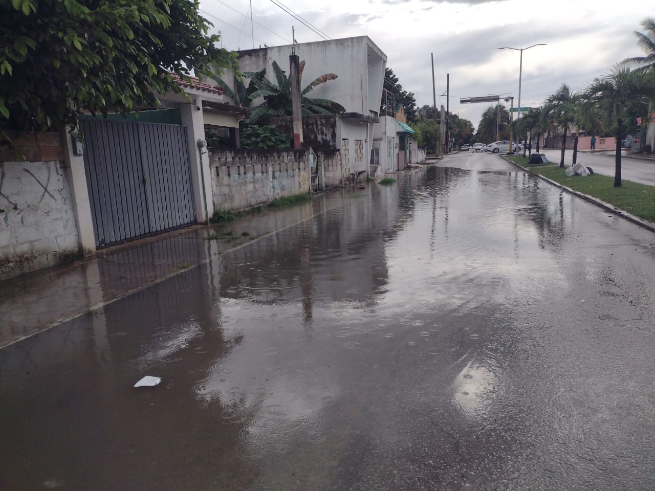 Debido a la obstrucción de coladeras, las inundaciones ingresan a las viviendas Debido a la obstrucción de coladeras, las inundaciones ingresan a las viviendas