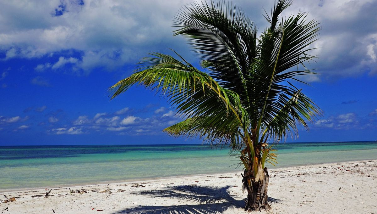 Estiman que más de 36 mil mexicanos han visitado Cuba en 2024