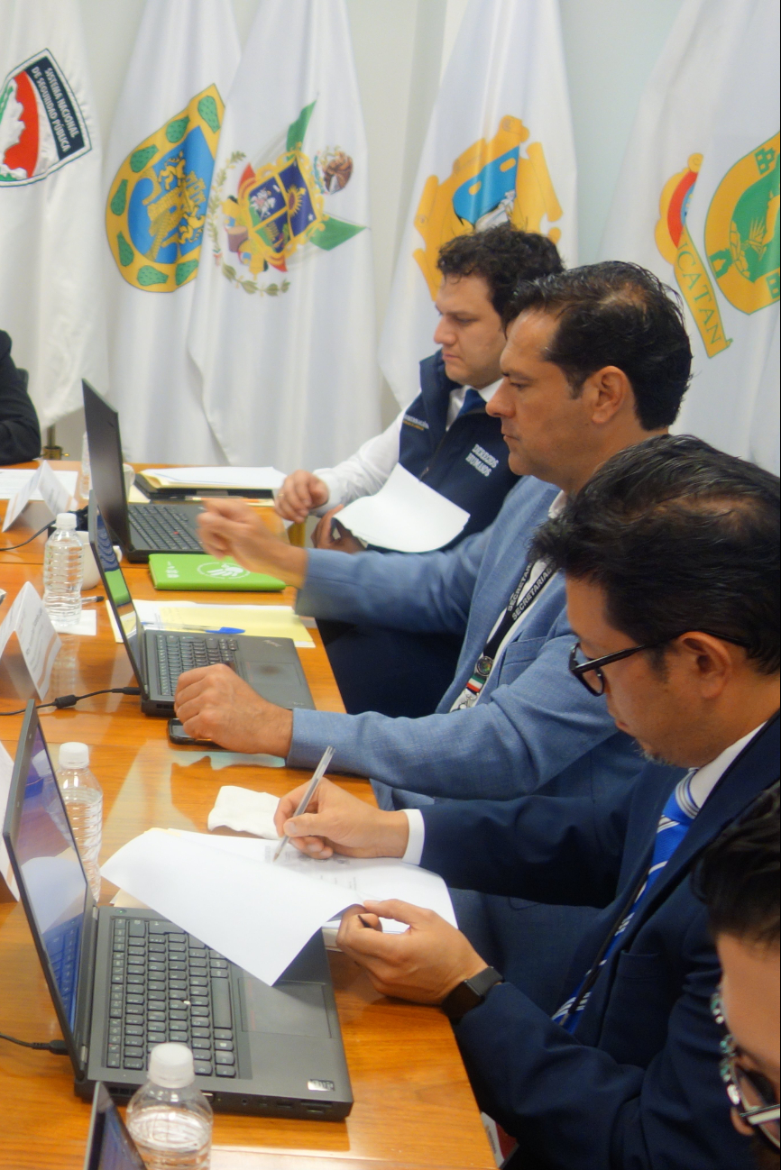 Elementos del Secretariado Ejecutivo del Sistema Nacional de Seguridad Pública Elementos del Secretariado Ejecutivo del Sistema Nacional de Seguridad Pública