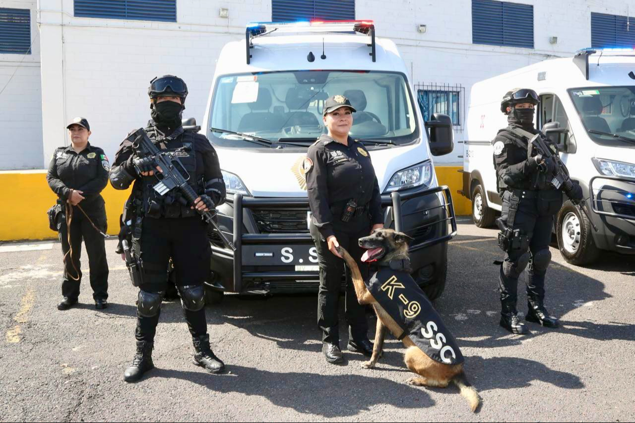 Elementos policiacos a cargo del Secretariado Ejecutivo del Sistema Nacional de Seguridad Pública Elementos policiacos a cargo del Secretariado Ejecutivo del Sistema Nacional de Seguridad Pública