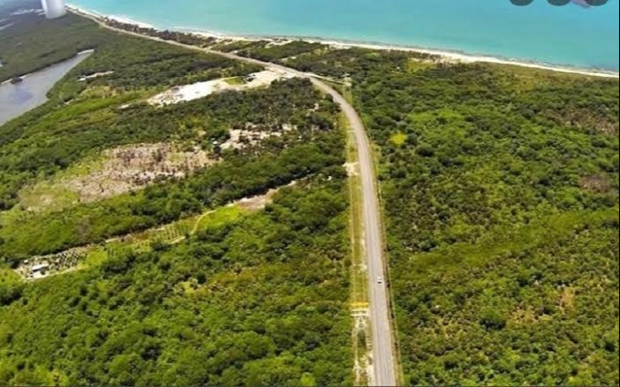 Invasiones en la Península de Atasta afectan más de siete kilómetros de manglar  