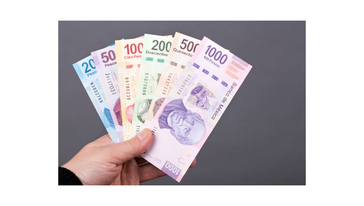 Se propone recortar salarios y eliminar la pensión vitalicia, lo que podría fomentar el soborno de jueces Se propone recortar salarios y eliminar la pensión vitalicia, lo que podría fomentar el soborno de jueces