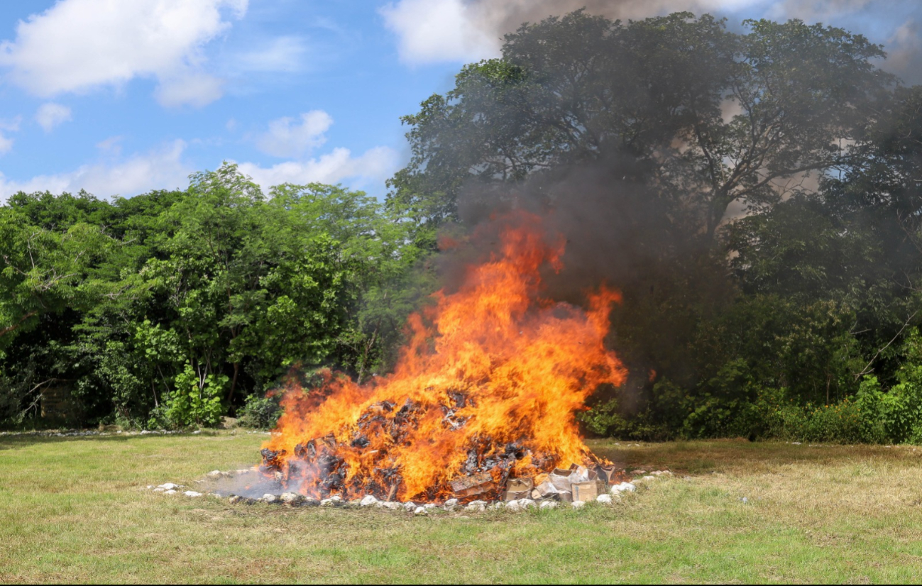 Incineran más de tres mil  narcóticos decomisados en Yucatán 