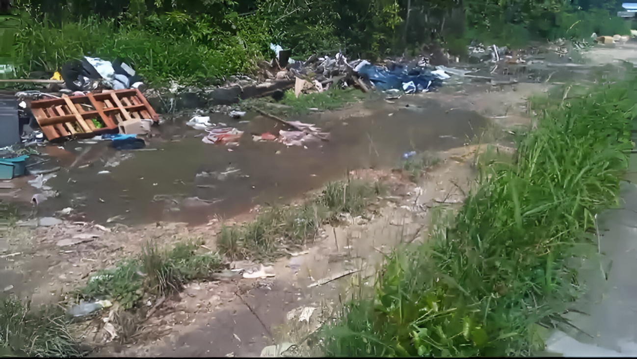 Un terreno baldío cercano se ha convertido en un basurero municipal Un terreno baldío cercano se ha convertido en un basurero municipal