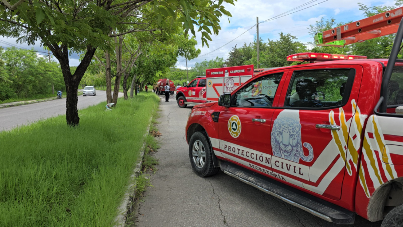 Los bomberos utilizaron cerca de 8 mil litros de agua para apagar las llamas Los bomberos utilizaron cerca de 8 mil litros de agua para apagar las llamas