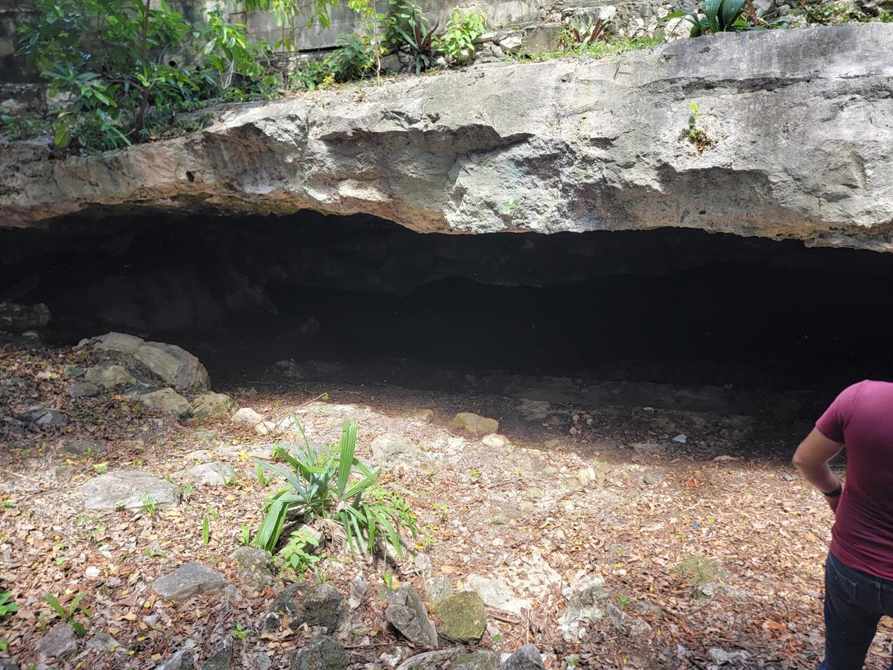  Denuncias dos empresas de Cancún por derramar deshechos en cenotes de Playa del Carmen  