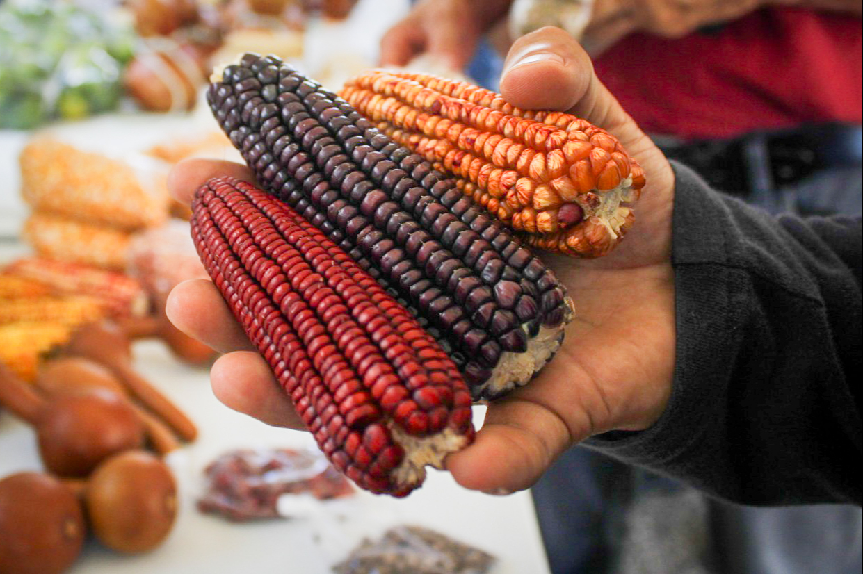 Los problemas ambientales han provocado que el sector campesino utilice estrategias y tecnologías más sostenibles.