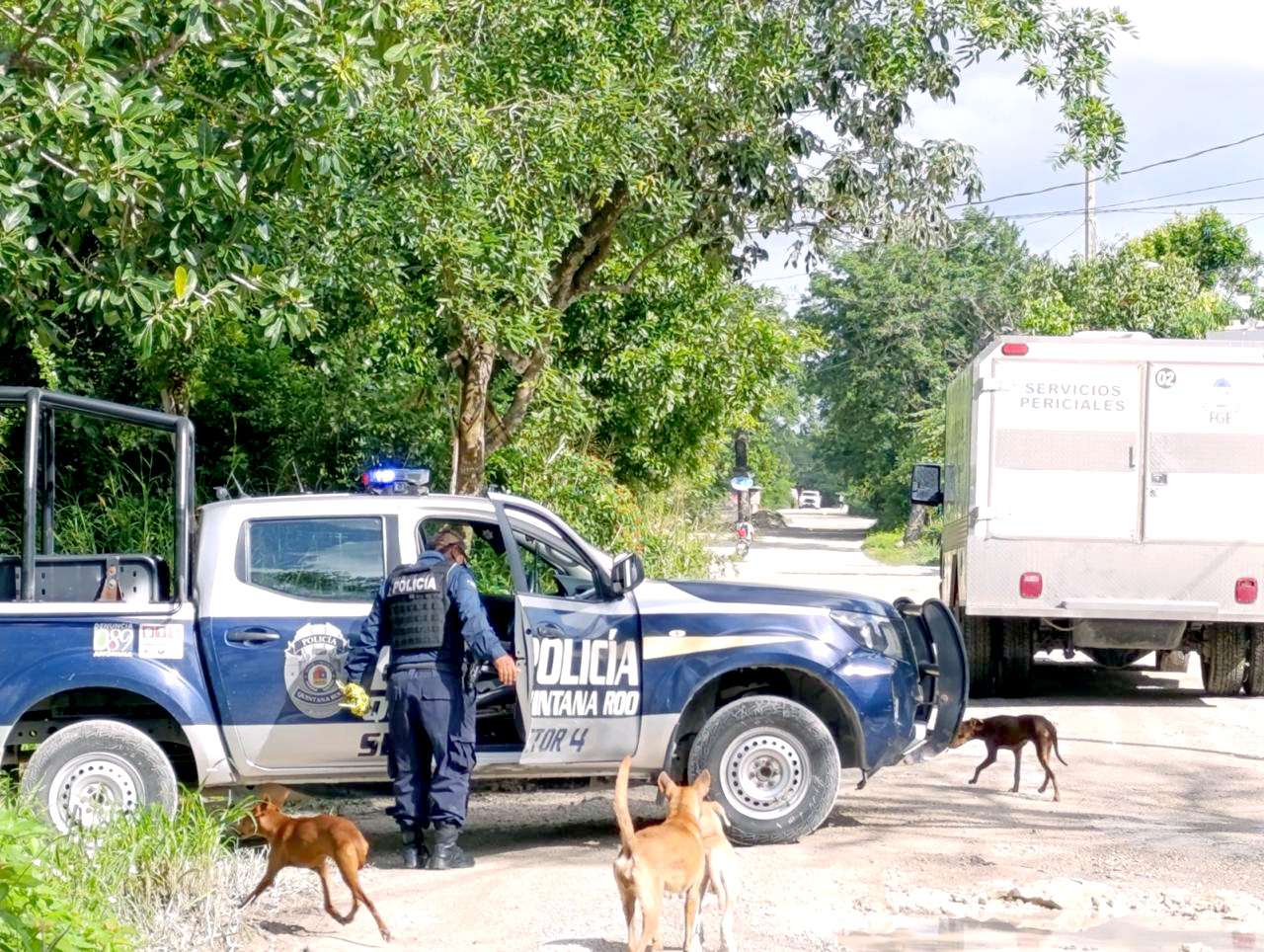 El cuerpo se localizó durante un operativo en un área verde de la colonia El Porvenir El cuerpo se localizó durante un operativo en un área verde de la colonia El Porvenir