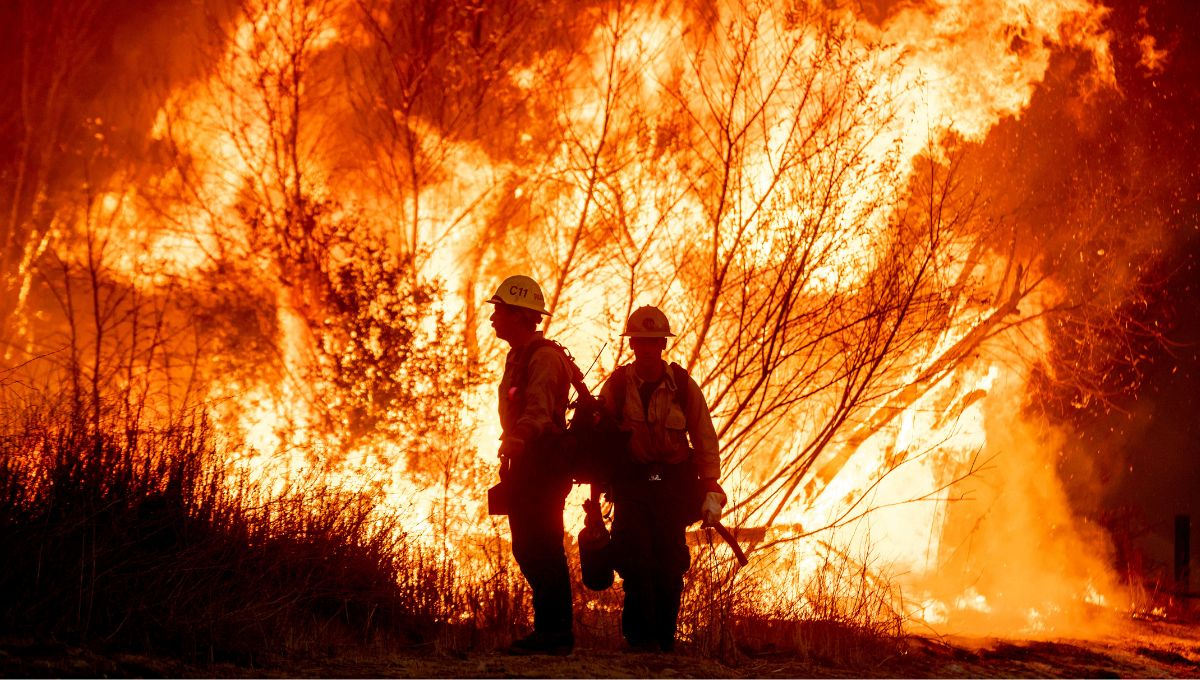 México enviará apoyo para combatir incendios en Los Ángeles, confirmó Sheinbaum Pardo