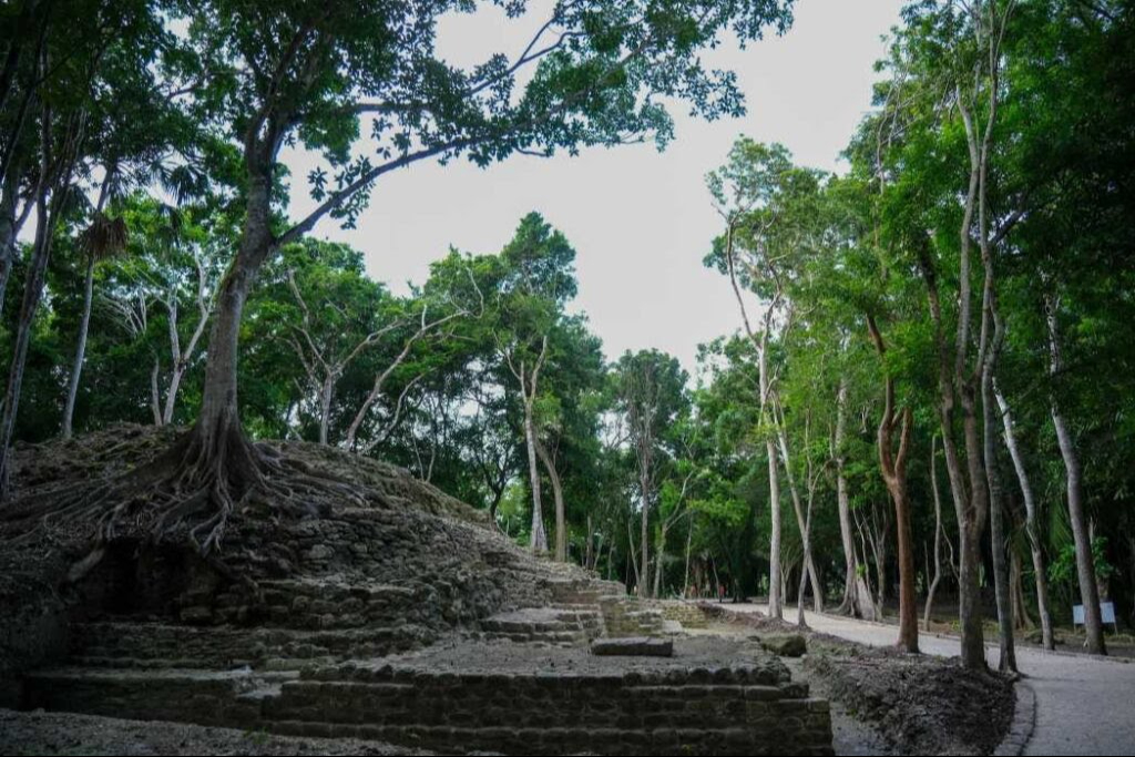 Abre zona arqueológica de Ichkabal / Especial Abre zona arqueológica de Ichkabal / Especial