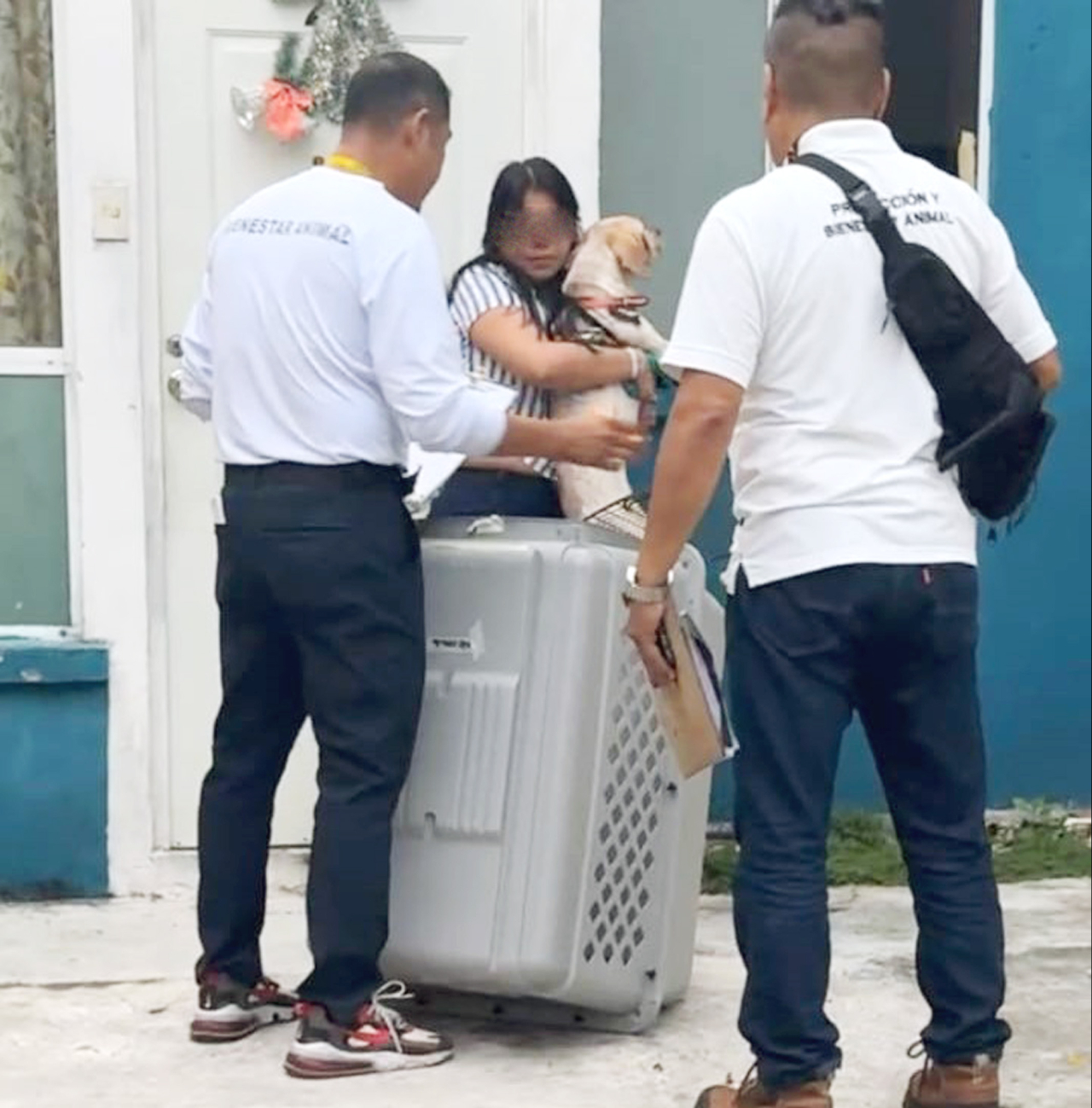 En la primera denuncia se reportó un perrito fallecido, y en la segunda dos heridos En la primera denuncia se reportó un perrito fallecido, y en la segunda dos heridos
