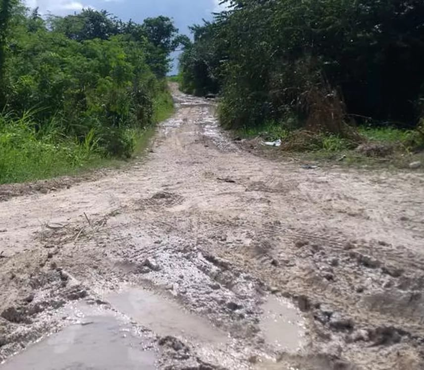 Los productores pueden verse afectados económicamente debido al estado actual de los caminos. Los productores pueden verse afectados económicamente debido al estado actual de los caminos.