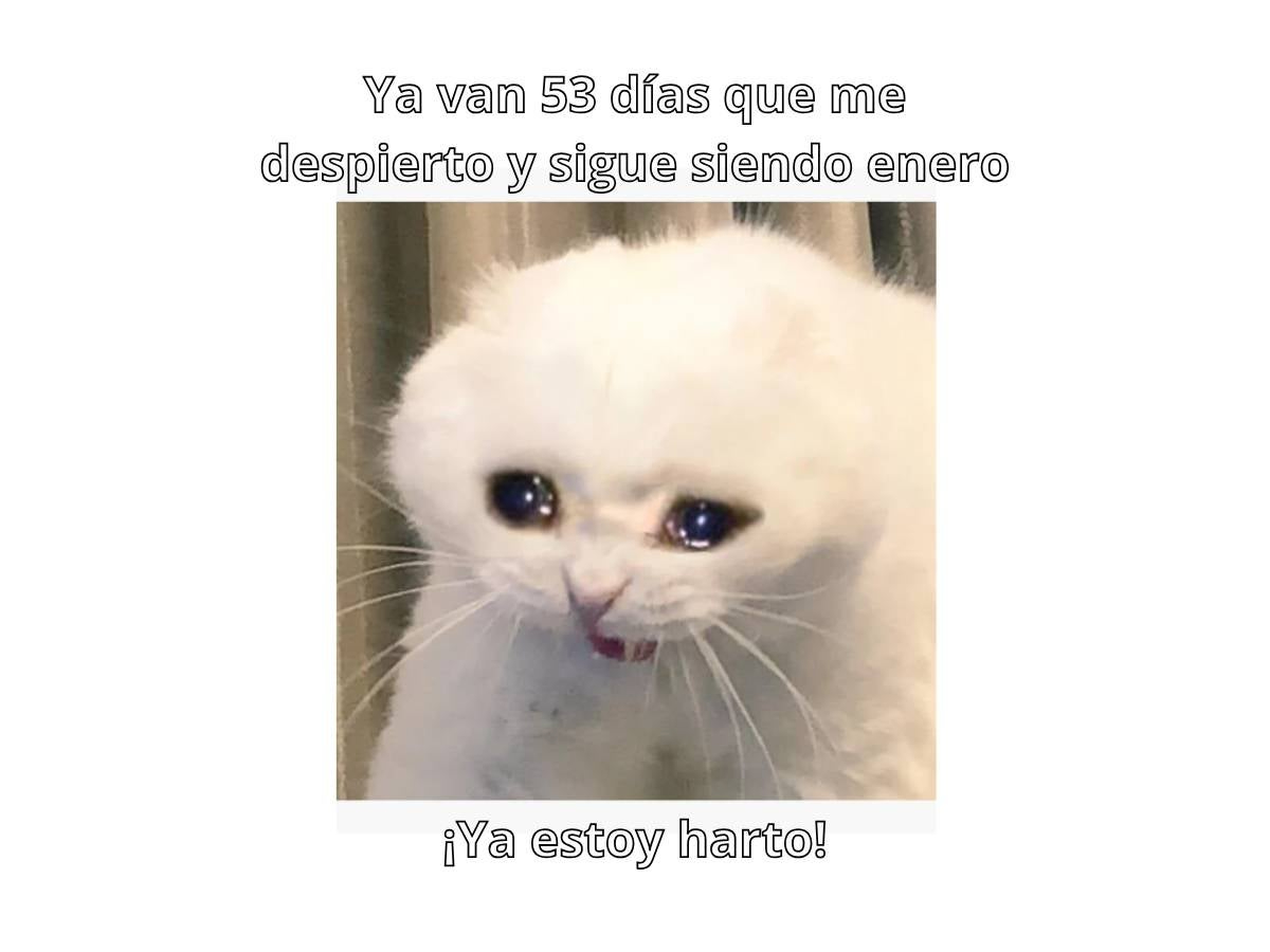 Memes enero eterno resaltan el percibido paso del tiempo a inicios del año. Memes enero eterno resaltan el percibido paso del tiempo a inicios del año.
