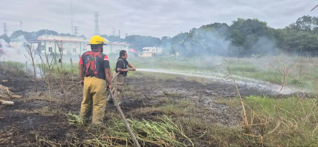 Protección Civil y Bomberos retiraron un árbol peligroso y sofocaron un incendio de maleza Protección Civil y Bomberos retiraron un árbol peligroso y sofocaron un incendio de maleza