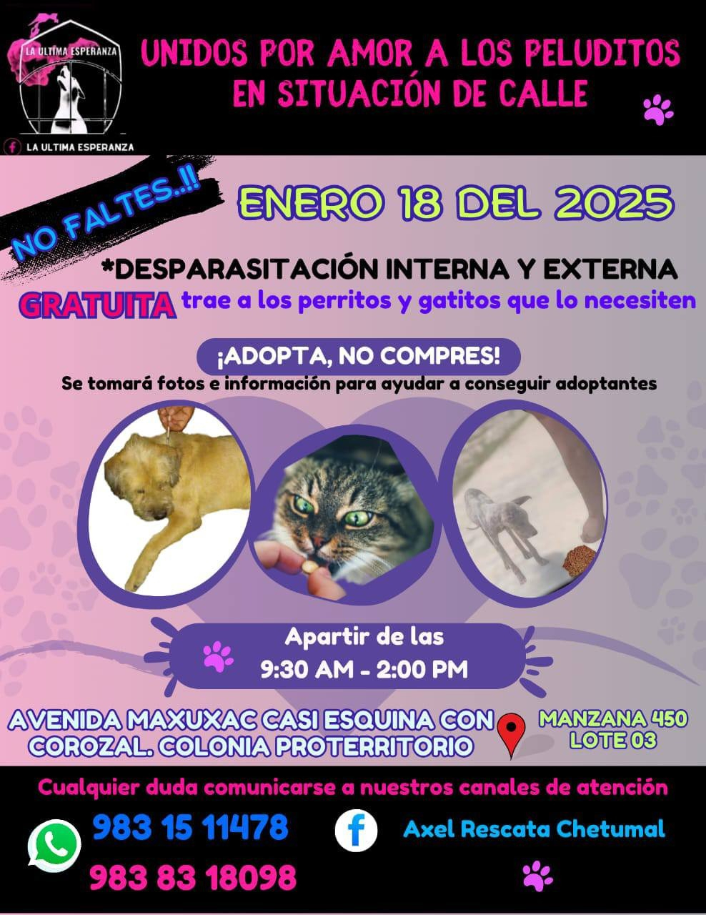 La iniciativa está dirigida hacia los animales que también se encuentren en hogares cuyos dueños no puedan para sus medicamentos. La iniciativa está dirigida hacia los animales que también se encuentren en hogares cuyos dueños no puedan para sus medicamentos.