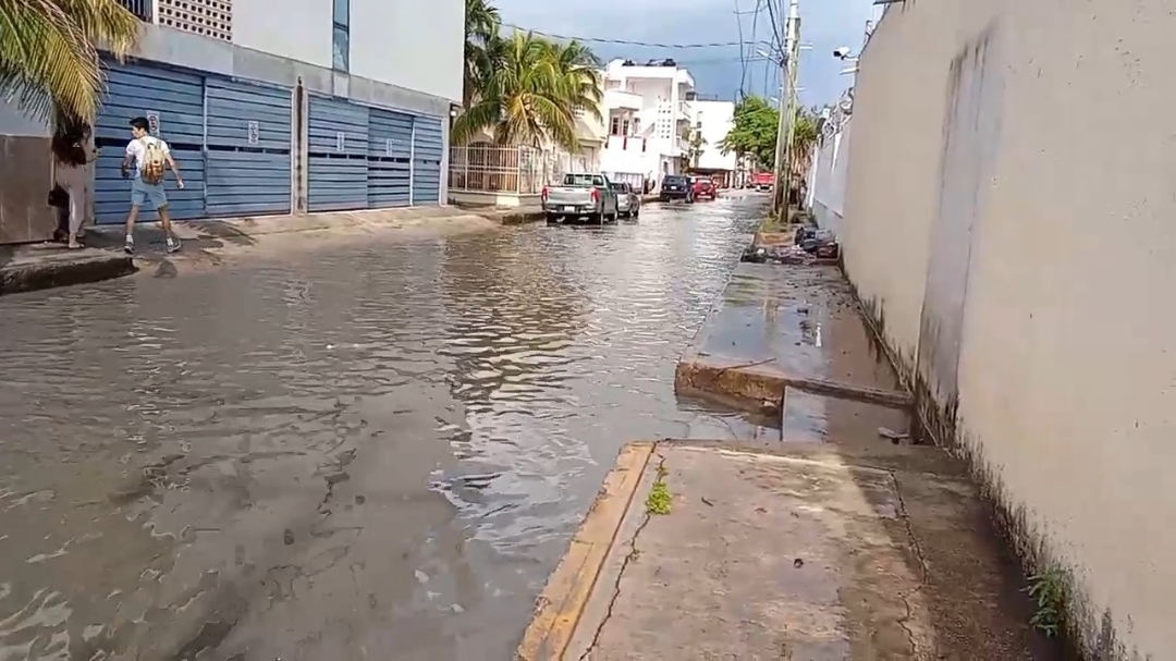 Los vecinos acusan a las autoridades del ayuntamiento de Benito Juárez de abandono Los vecinos acusan a las autoridades del ayuntamiento de Benito Juárez de abandono