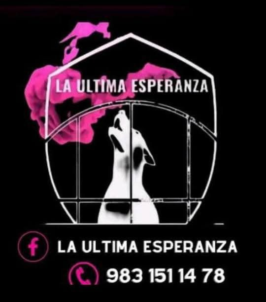 Miembros de “La última esperanza” decidieron tomar acción para garantizar el bienestar de la fauna. Miembros de “La última esperanza” decidieron tomar acción para garantizar el bienestar de la fauna.