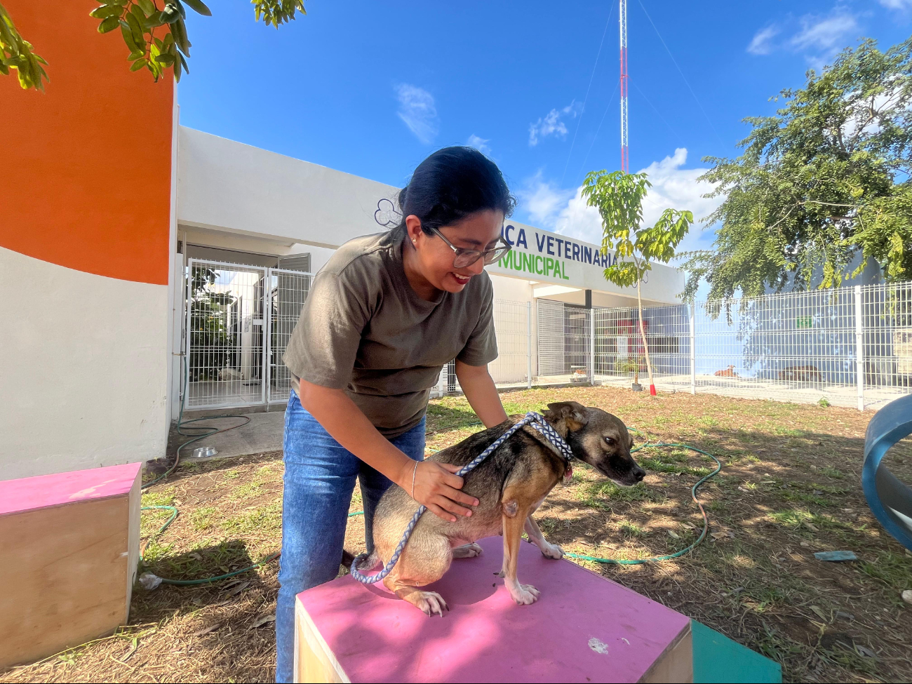 Ayuntamiento de Mérida promueve la adopción responsable de mascotas 