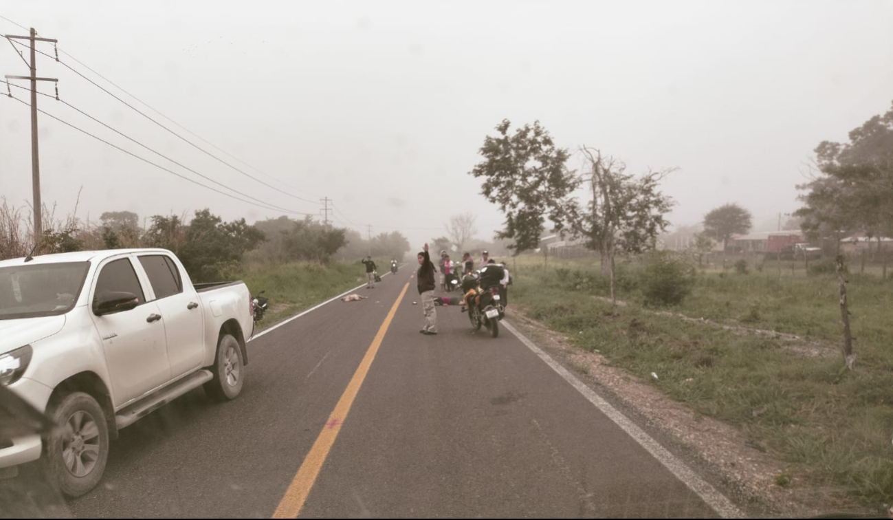 Motociclista en Candelaria pierde la vida al impactarse contra un cerdo