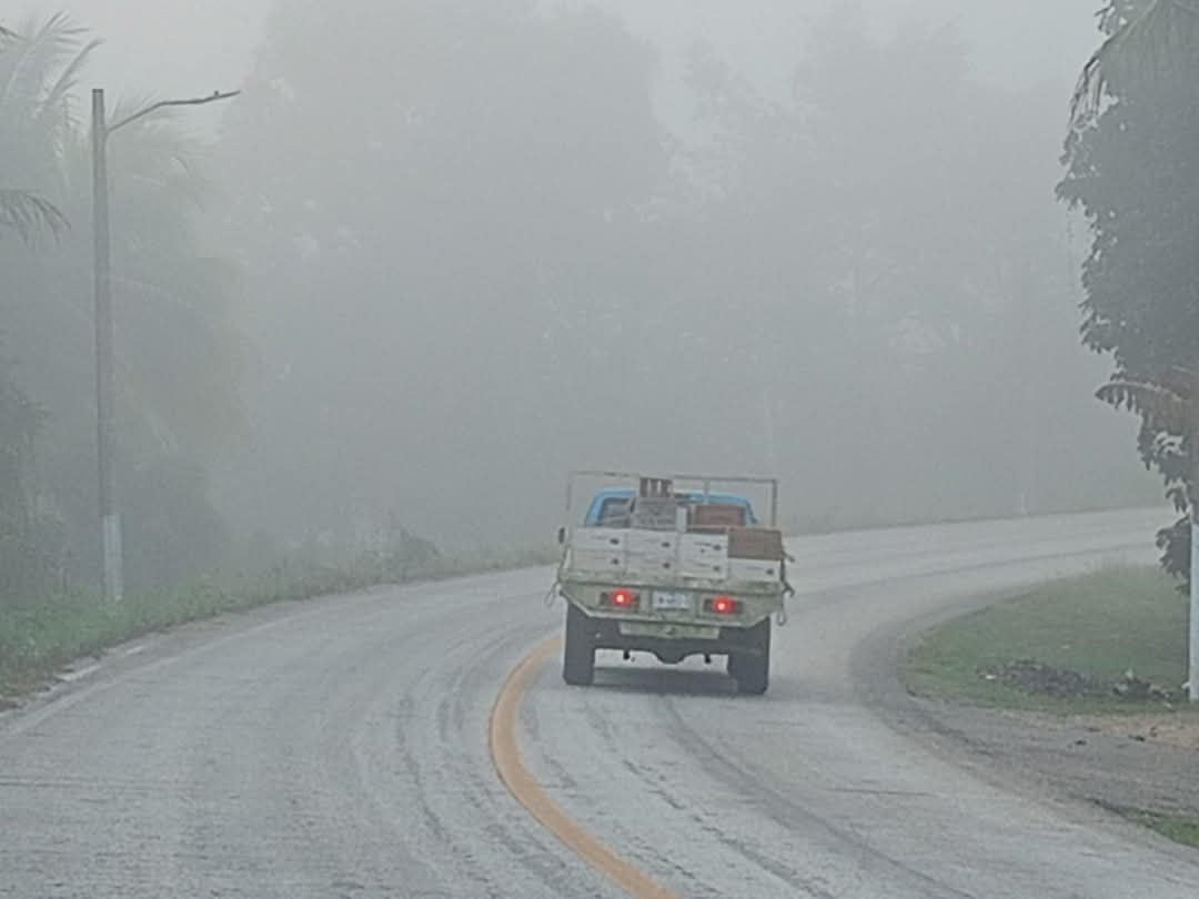 Protección Civil pidió precaución a los conductores por la baja visibilidad Protección Civil pidió precaución a los conductores por la baja visibilidad