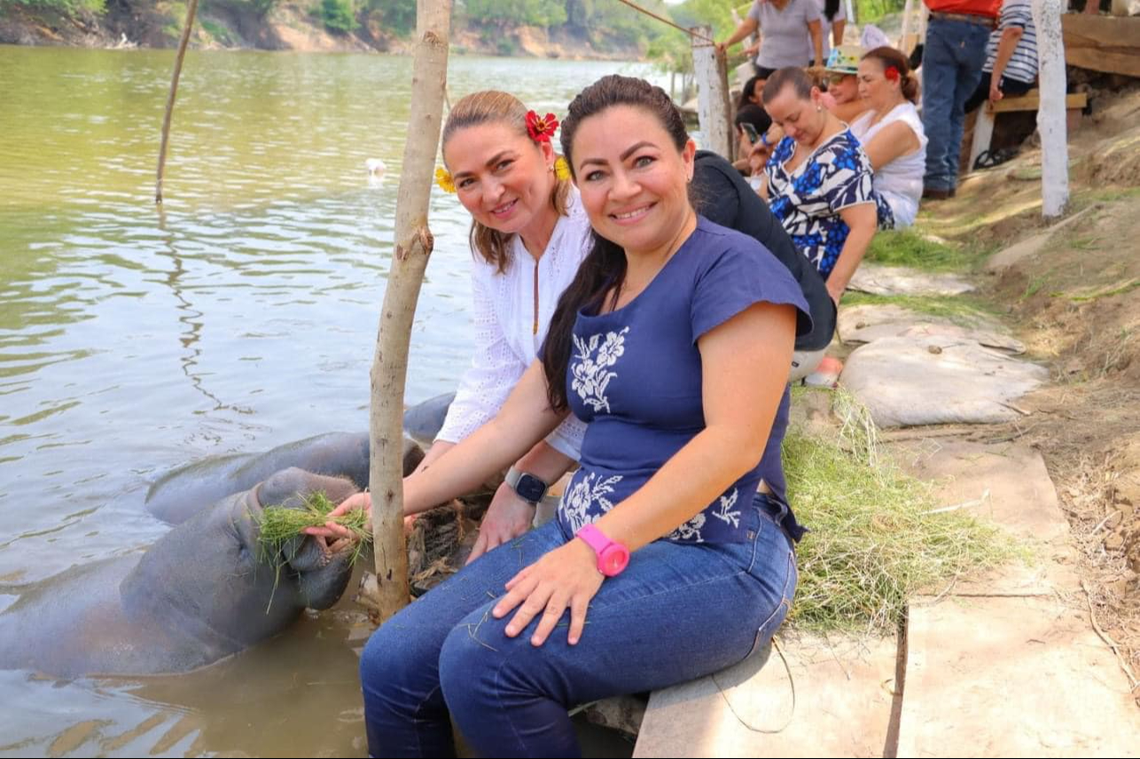 A través de la educación ambiental y el ecoturismo, la iniciativa buca proteger al mamífero marino A través de la educación ambiental y el ecoturismo, la iniciativa buca proteger al mamífero marino
