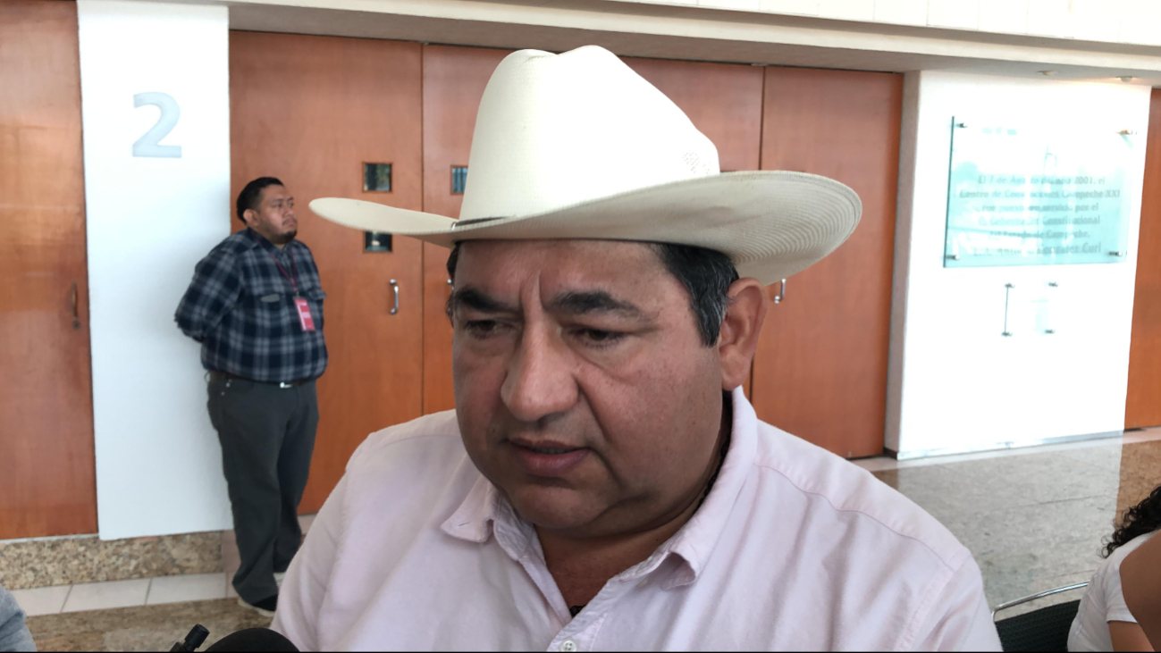 Caso de gusano barrenador en Candelaria, bajo control; refuerzan medidas sanitarias